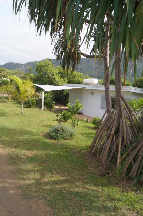 Niaouli Lodge Bourail Exterior foto
